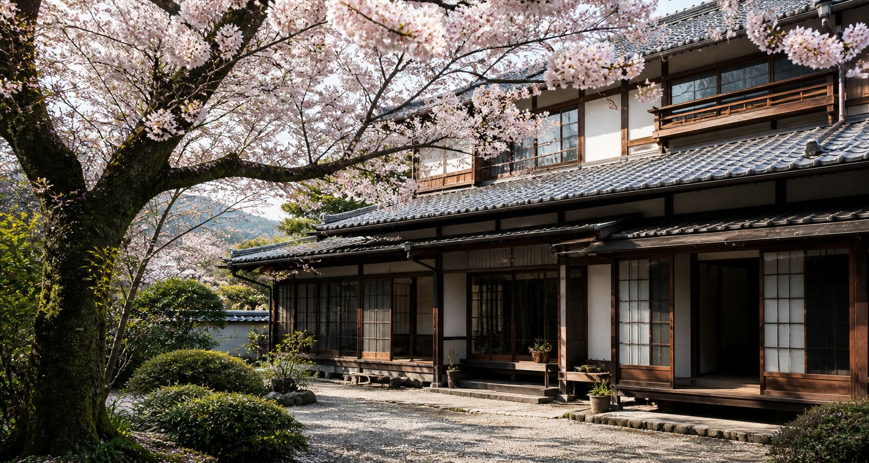 Traditional Japanese house with cherry blossoms